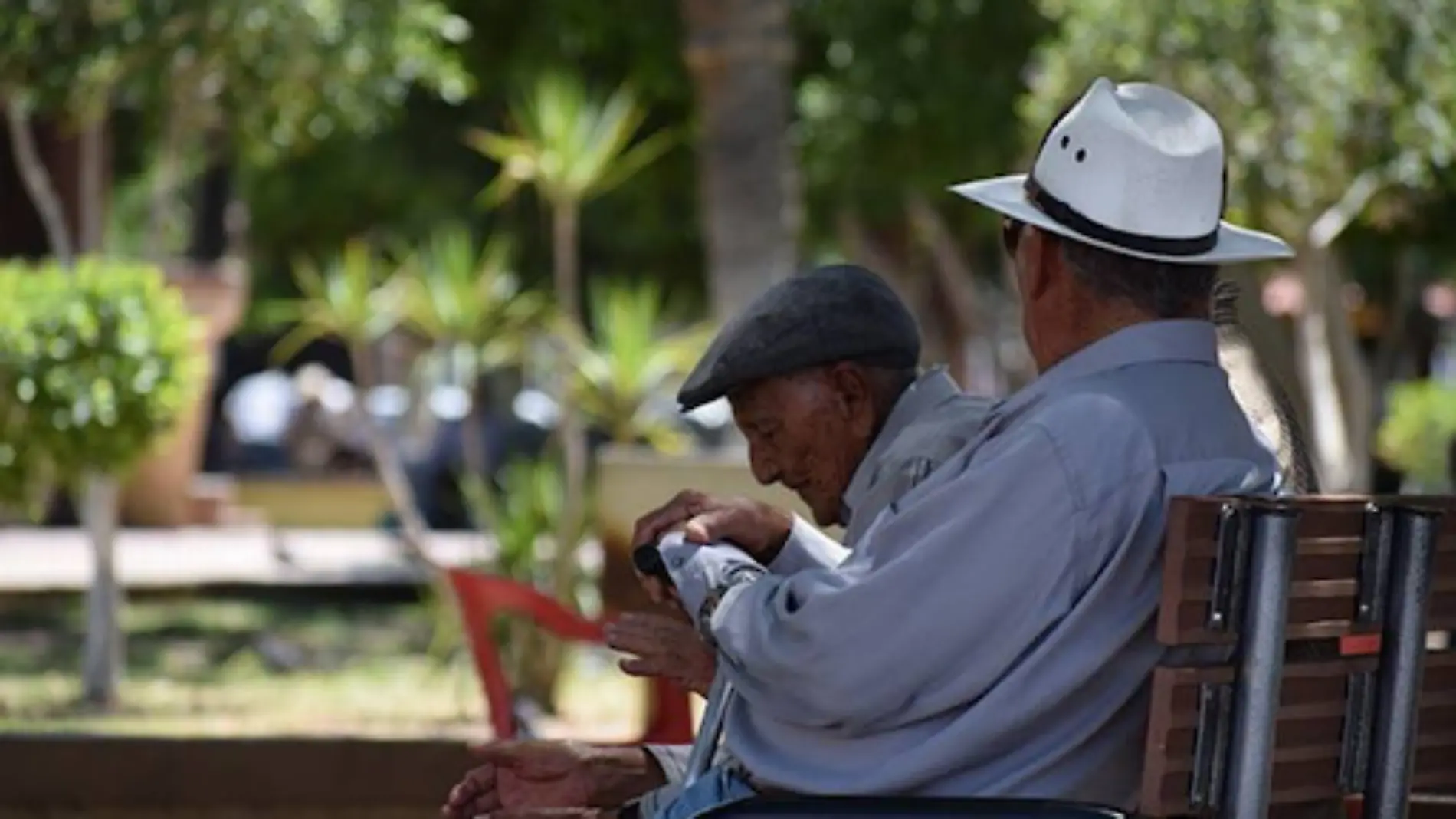 Los adultos mayores de 60 años son más propensos a presentar enfermedades respiratorias